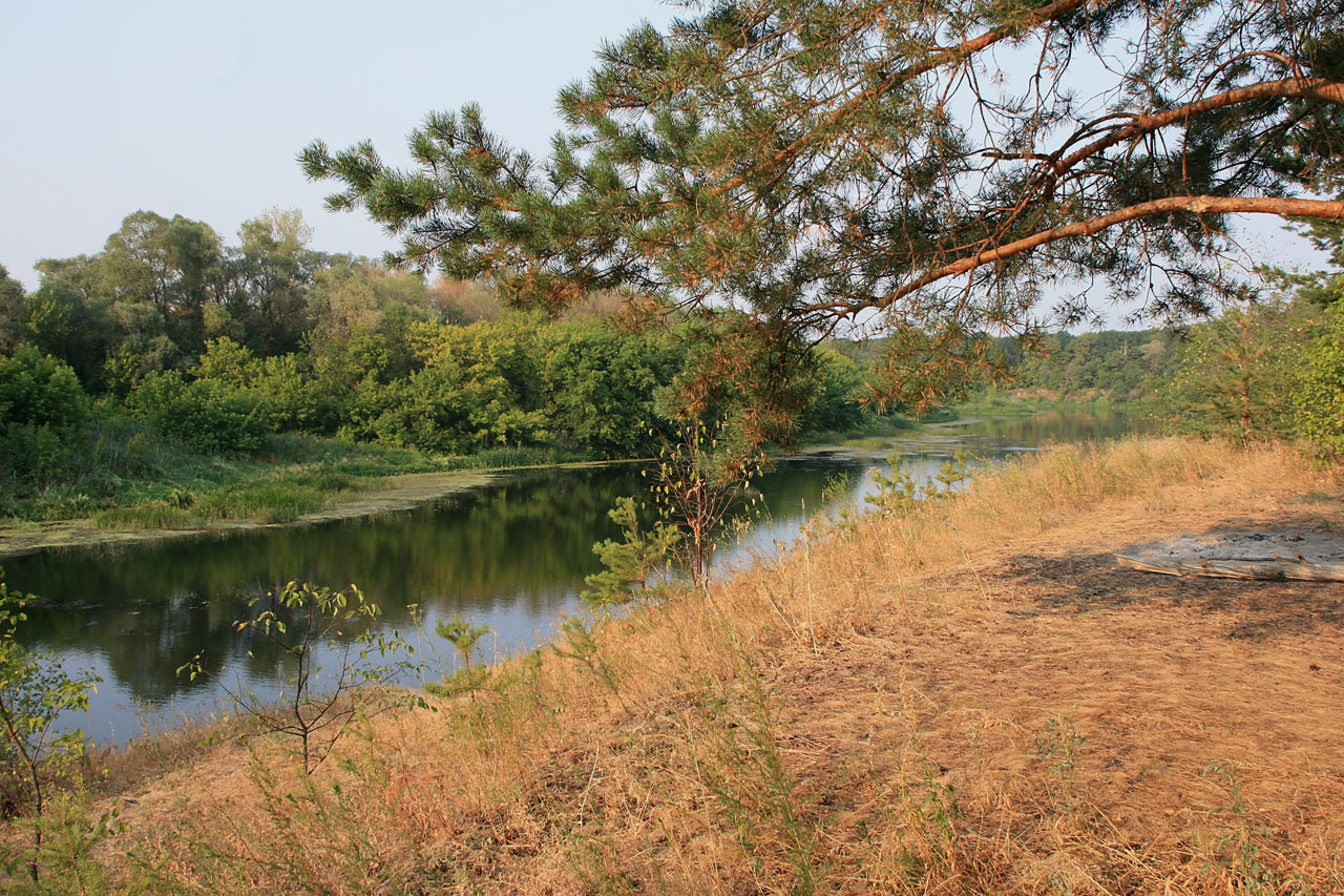 Фото реки Хопер в Саратовской области